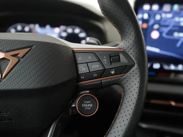Cupra Terramar view 10