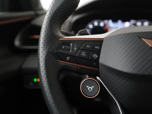 Cupra Terramar view 8