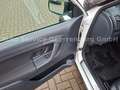 Skoda Fabia Ambition Monte Carlo Klima Weiß - thumbnail 12