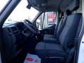 Renault Master L1 H1 T28 2.3 150CV 🔥PRONTA CONSEGNA I.E🔥 Blanc - thumbnail 23