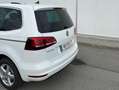 Volkswagen Sharan Business Weiß - thumbnail 5