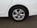 Volkswagen Golf Variant Golf VIII Variant 2.0 TDI Life LED RADAR NAVI PDC Weiß - thumbnail 21
