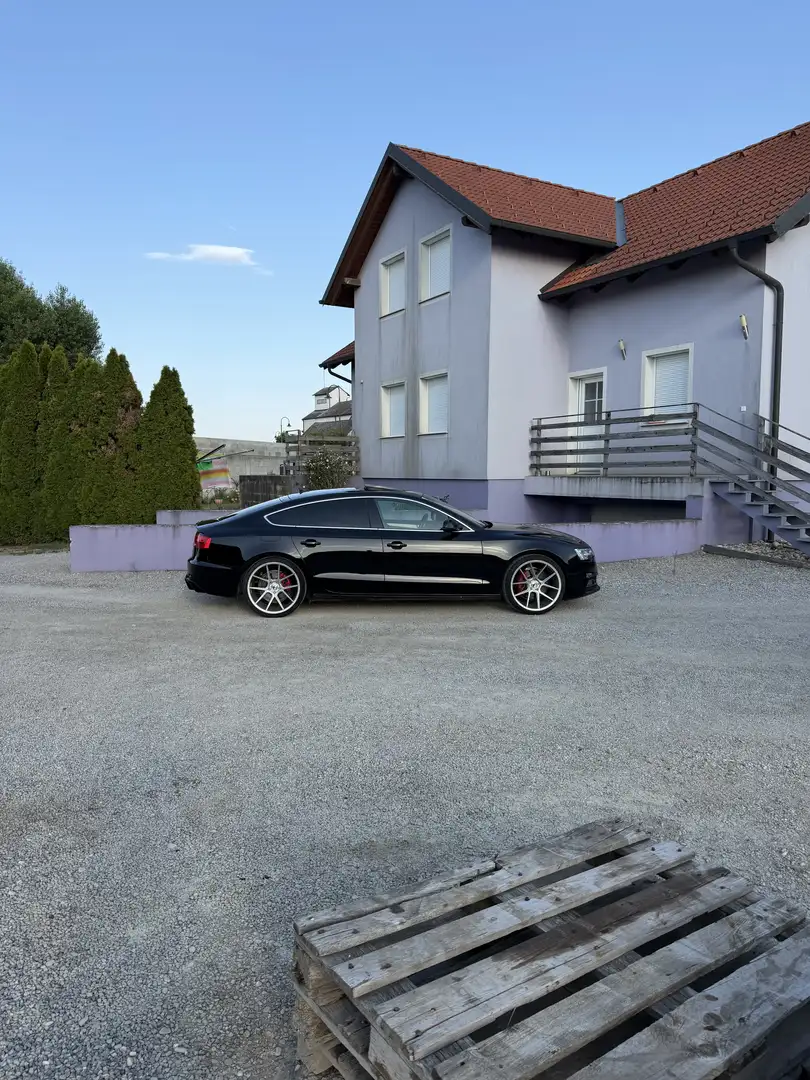 Audi A5 SB 3,0 TDI quattro Sport DPF S-tronic - 1