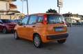 Fiat Panda 1.0 FireFly S&S Hybrid Orange - thumbnail 17
