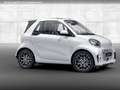 smart forTwo EQ 60kWed prime SHZ PDC+Kamera Ambiente Blanc - thumbnail 14