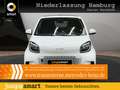 smart forTwo EQ 60kWed prime SHZ PDC+Kamera Ambiente Weiß - thumbnail 1