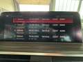 BMW X4 xDrive 30 i M Sport+Spurhalteass.+360°+ACC Gris - thumbnail 19
