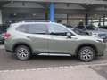 Subaru Forester 2.0ie e-Boxer, Comfort, AHK Vert - thumbnail 4