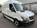 Mercedes-Benz Sprinter 313 CDi Kasten H+Lang Euro5 1.Hand+ Weiß - thumbnail 13