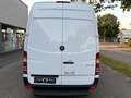 Mercedes-Benz Sprinter 313 CDi Kasten H+Lang Euro5 1.Hand+ Weiß - thumbnail 10