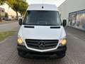 Mercedes-Benz Sprinter 313 CDi Kasten H+Lang Euro5 1.Hand+ Weiß - thumbnail 2