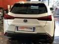 Lexus UX 250h UX 250h Hybrid Executive BIANCO PERLATO Blanc - thumbnail 4