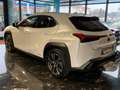 Lexus UX 250h UX 250h Hybrid Executive BIANCO PERLATO Blanc - thumbnail 3