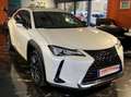 Lexus UX 250h UX 250h Hybrid Executive BIANCO PERLATO Blanc - thumbnail 1