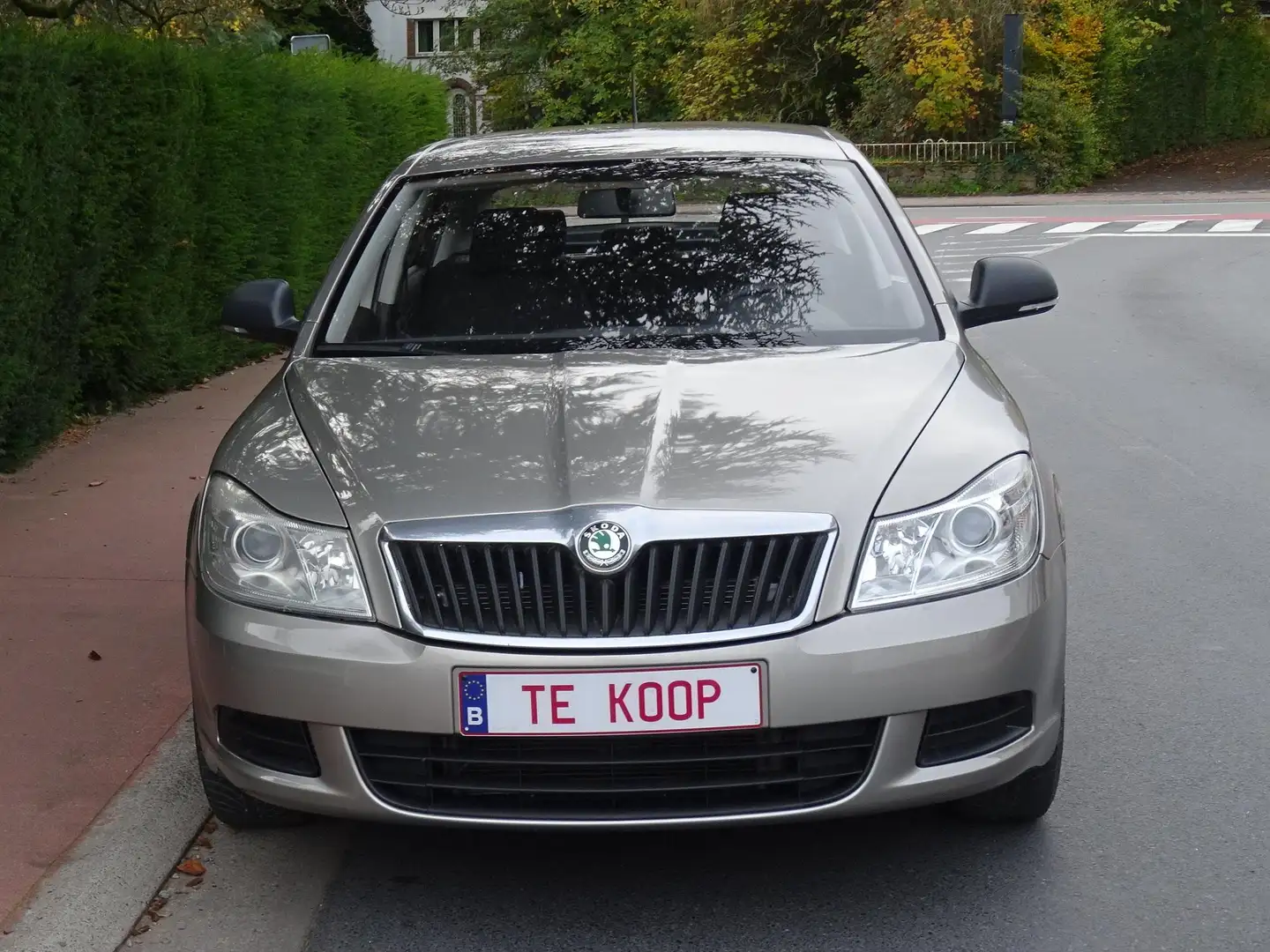 Skoda Octavia Octavia 1.4 Ambiente Brons - 2