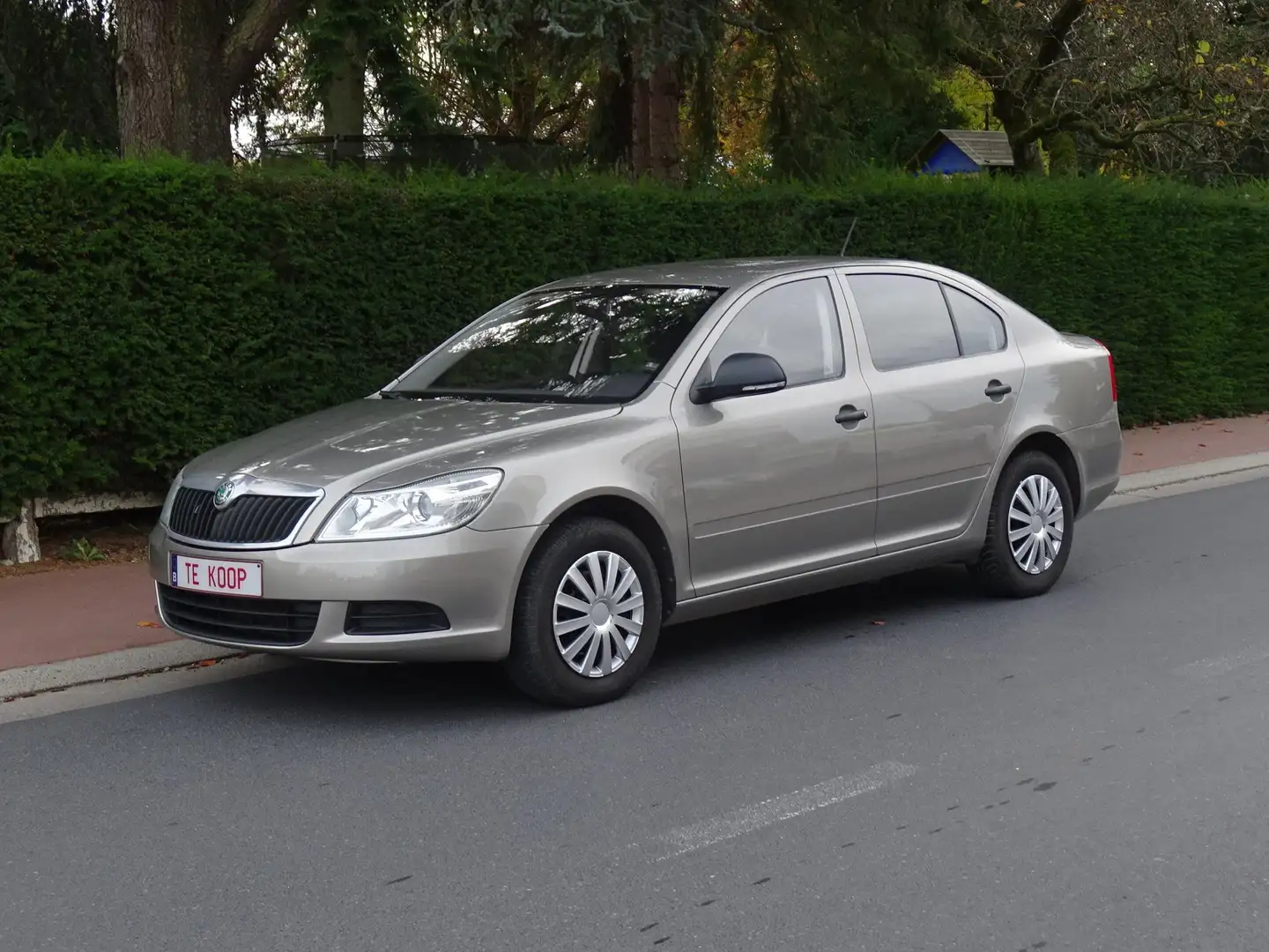 Skoda Octavia Octavia 1.4 Ambiente Brons - 1