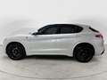 Alfa Romeo Stelvio Stelvio Quadrifoglio Bianco - thumbnail 8