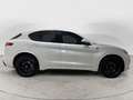 Alfa Romeo Stelvio Stelvio Quadrifoglio Bianco - thumbnail 7