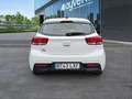 Kia Rio 1.0 T-GDi MHEV iMT Concept 100 Blanco - thumbnail 5