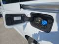 Ford Grand Tourneo Connect Titanium 2,0L Eblue 122PS A FWD Weiß - thumbnail 34