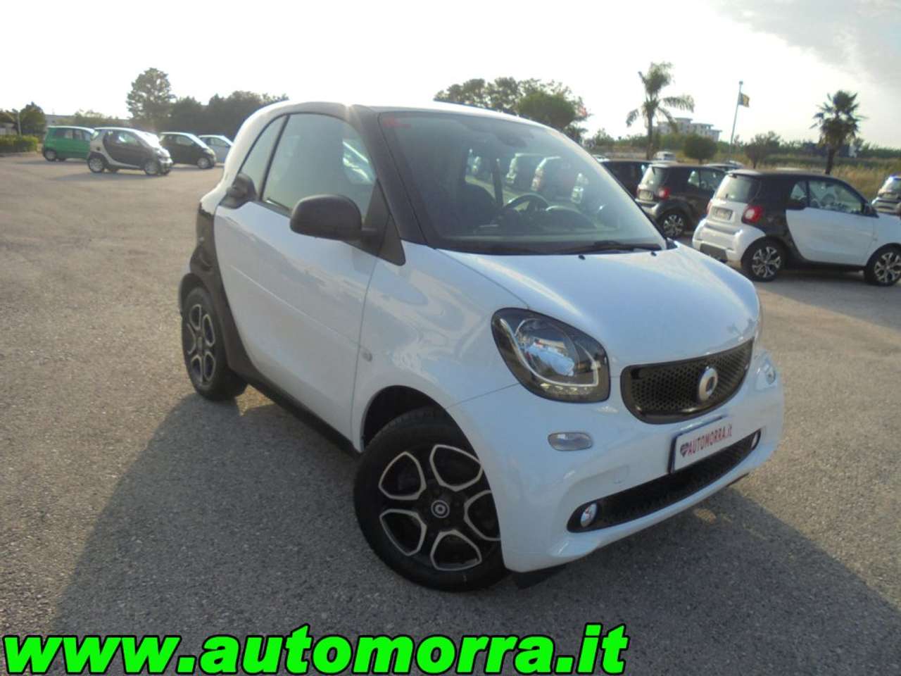 smart forTwo 1.0 Twinamic Passion Italiana n°16bis