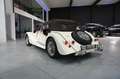 Morgan Plus 4 2.0- Belgische wagen/eerste eigenaar -full service Beżowy - thumbnail 10