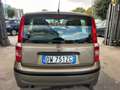 Fiat Panda Panda 1.2 Dynamic Gpl Bronzo - thumbnail 5