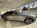 Mercedes-Benz S 500 4Matic lang Luftfederung Grau - thumbnail 2