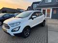 Ford EcoSport 1.0 EcoBoost Trend Ultimate / CarPlay / Navi / Tre Blanc - thumbnail 10