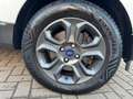 Ford EcoSport 1.0 EcoBoost Trend Ultimate / CarPlay / Navi / Tre Blanc - thumbnail 13