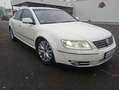 Volkswagen Phaeton V6 TDI 4Motion (5 Sitze) ,Euro5/TÜV 5.27 Wit - thumbnail 10
