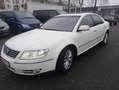 Volkswagen Phaeton V6 TDI 4Motion (5 Sitze) ,Euro5/TÜV 5.27 Wit - thumbnail 5