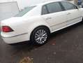 Volkswagen Phaeton V6 TDI 4Motion (5 Sitze) ,Euro5/TÜV 5.27 Wit - thumbnail 1