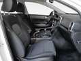 Kia Sportage 1.6 MHEV Business 4x4 136 Blanco - thumbnail 13