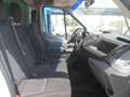 Ford Transit 2.0 tdci 160 cv furgonatura in lega BELLISSIMO!!! Bianco - thumbnail 7
