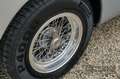 Ferrari 250 GTE Series 3 Matching numbers engine, Extensive me Silber - thumbnail 50