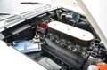 Ferrari 250 GTE Series 3 Matching numbers engine, Extensive me Silber - thumbnail 32