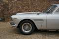 Ferrari 250 GTE Series 3 Matching numbers engine, Extensive me Silber - thumbnail 26