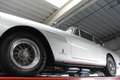 Ferrari 250 GTE Series 3 Matching numbers engine, Extensive me Silber - thumbnail 9