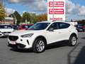 CUPRA Formentor 1.4 Hybrid DSG LED ACC Lenkradheizung Blanc - thumbnail 2
