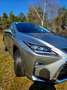 Lexus RX 450h RX 450h E-four President Luxury Silber - thumbnail 14