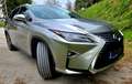 Lexus RX 450h RX 450h E-four President Luxury Grau - thumbnail 21