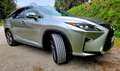 Lexus RX 450h RX 450h E-four President Luxury Grau - thumbnail 1