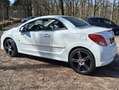 Peugeot 207 207 1.6 VTi Roland G. Wit - thumbnail 10