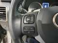 Lexus NX 300 300h Executive Navigation 4WD Gris - thumbnail 17