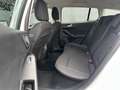 Ford Focus Traveller Cool & Connect 1,5 EcoBlue 95PS / APP... Weiß - thumbnail 8