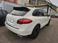 Porsche Cayenne Diesel Weiß - thumbnail 2