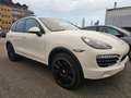 Porsche Cayenne Diesel Weiß - thumbnail 3