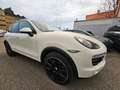 Porsche Cayenne Diesel Weiß - thumbnail 4