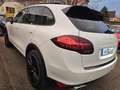 Porsche Cayenne Diesel Weiß - thumbnail 6